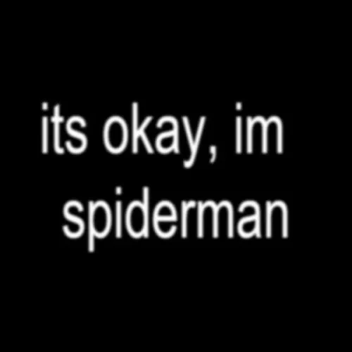 Meme Spider-Man 43