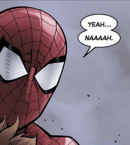 Meme Spider-Man 8