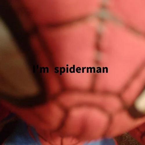 Meme Spider-Man 9