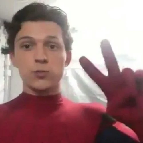 Meme Spider-Man 10