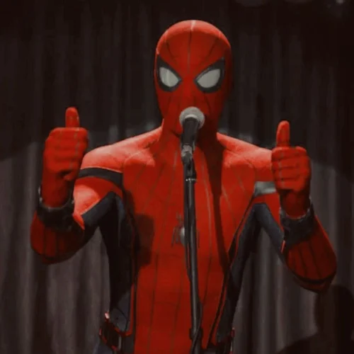 Meme Spider-Man 14
