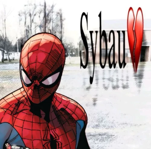 Meme Spider-Man 17
