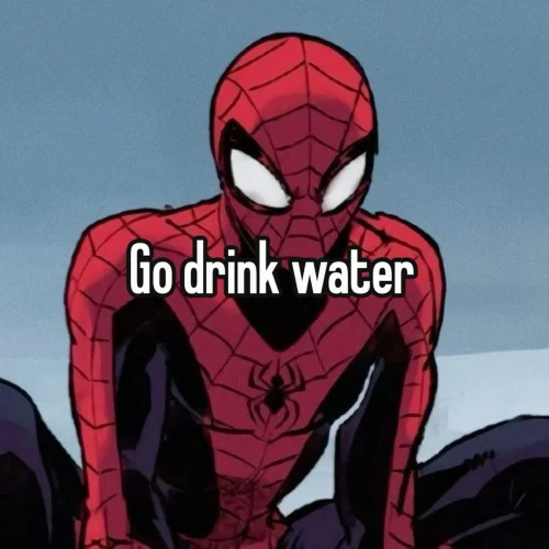 Meme Spider-Man 19