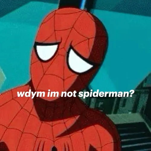 Meme Spider-Man 23
