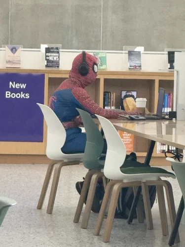 Meme Spider-Man 26