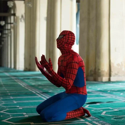 Meme Spider-Man 34