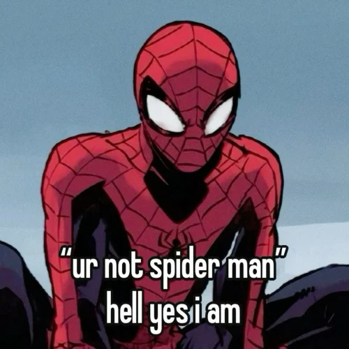 Meme Spider-Man 37