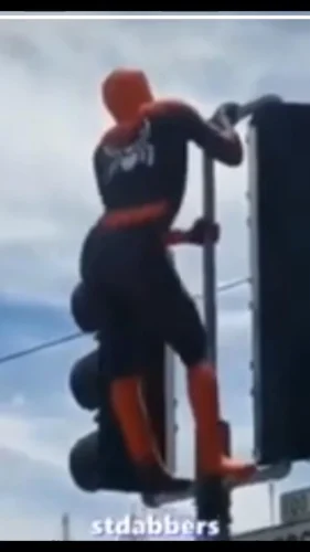 Meme Spider-Man 40