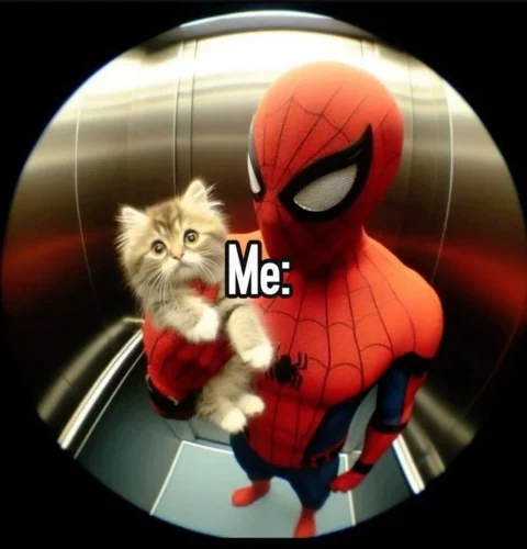 Meme Spider-Man 46