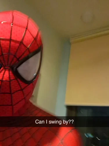 Meme Spider-Man 47