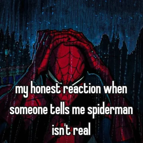 Meme Spider-Man 51