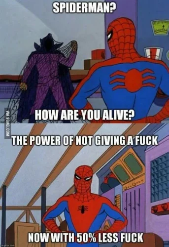Meme Spider-Man 54