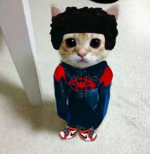 Meme Spider-Man 1