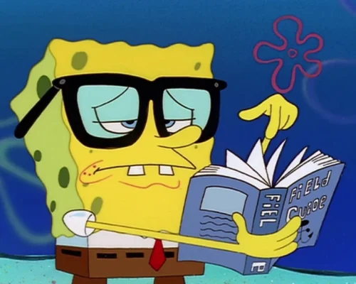 Meme SpongeBob 58