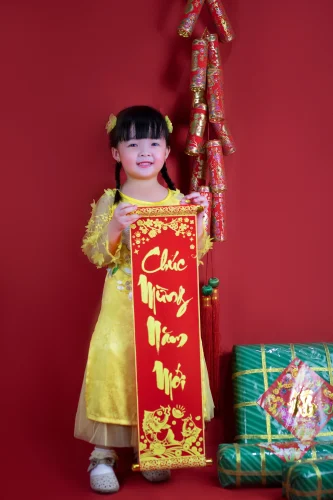 Meme Tết 2