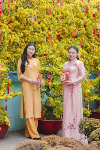 Meme Tết 4