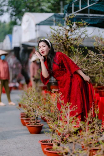 Meme Tết 34