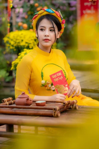 Meme Tết 46