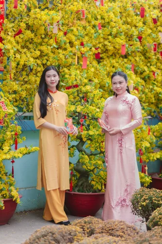 Meme Tết 50
