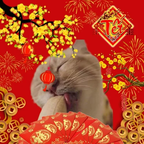 Meme Tết 59