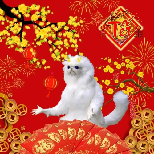 Meme Tết 1