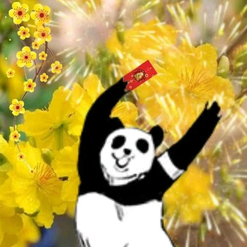 Meme Tết 2