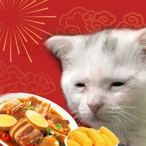 Meme Tết 4