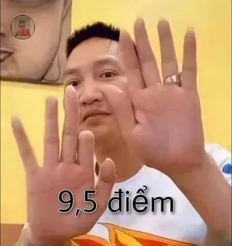 Meme Tết 12