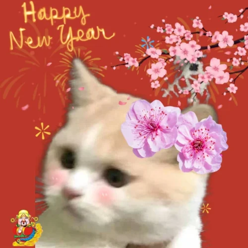 Meme Tết 16