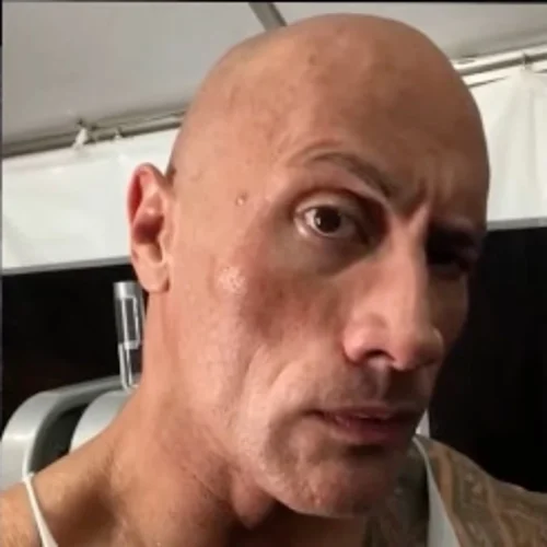 Meme The Rock 1