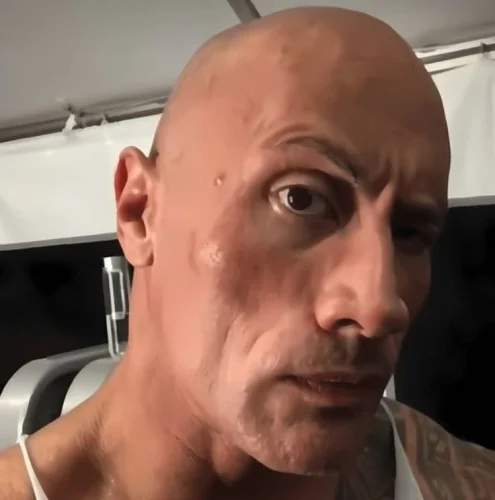 Meme The Rock 3