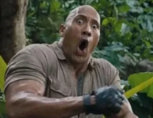 Meme The Rock 8