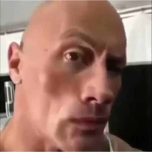 Meme The Rock 9