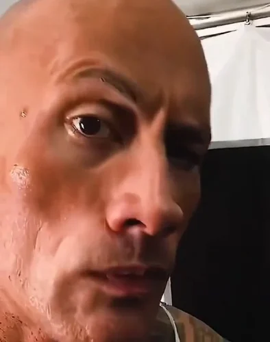 Meme The Rock 12