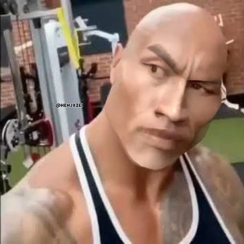 Meme The Rock 15