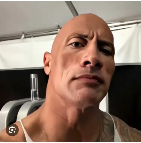 Meme The Rock 16