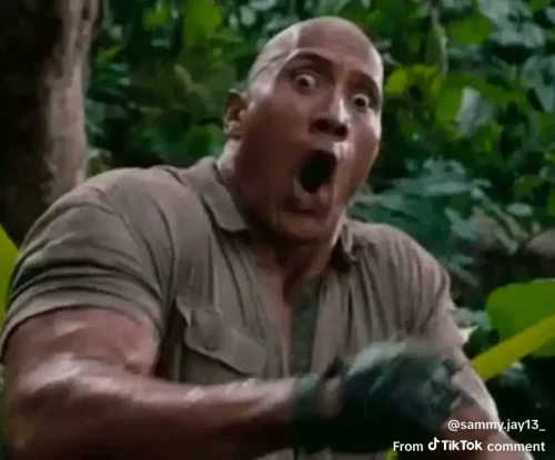 Meme The Rock 20