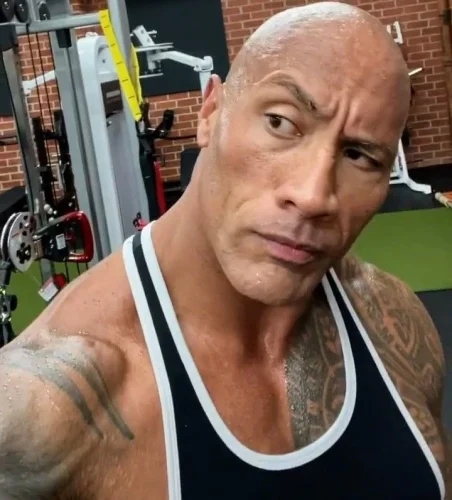 Meme The Rock 21