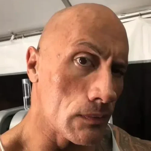 Meme The Rock 22