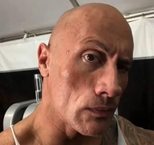 Meme The Rock 23