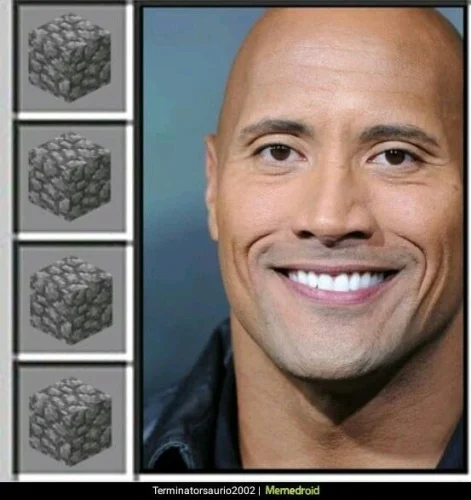Meme The Rock 25