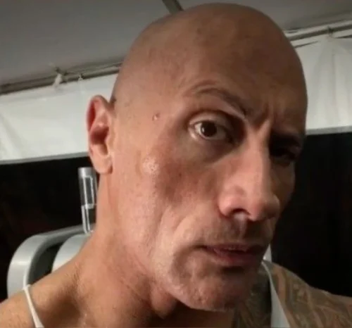 Meme The Rock 27