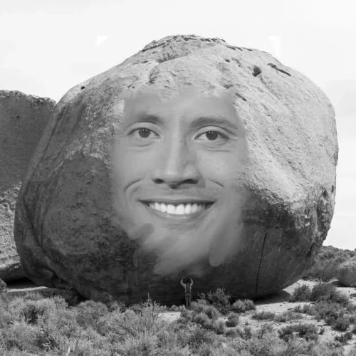 Meme The Rock 28