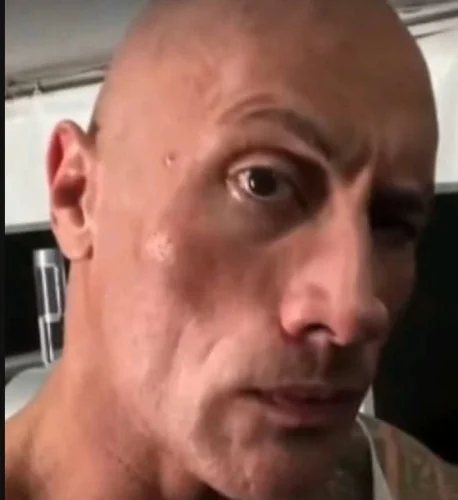 Meme The Rock 29