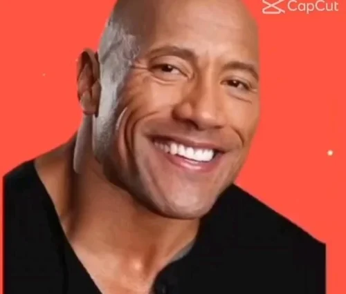 Meme The Rock 30