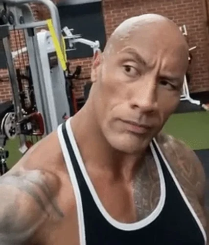 Meme The Rock 35