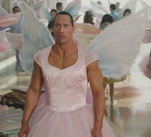 Meme The Rock 37