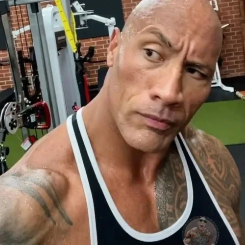 Meme The Rock 38