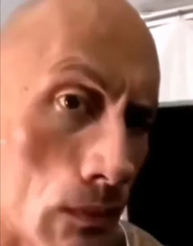 Meme The Rock 39