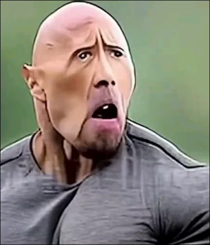 Meme The Rock 42